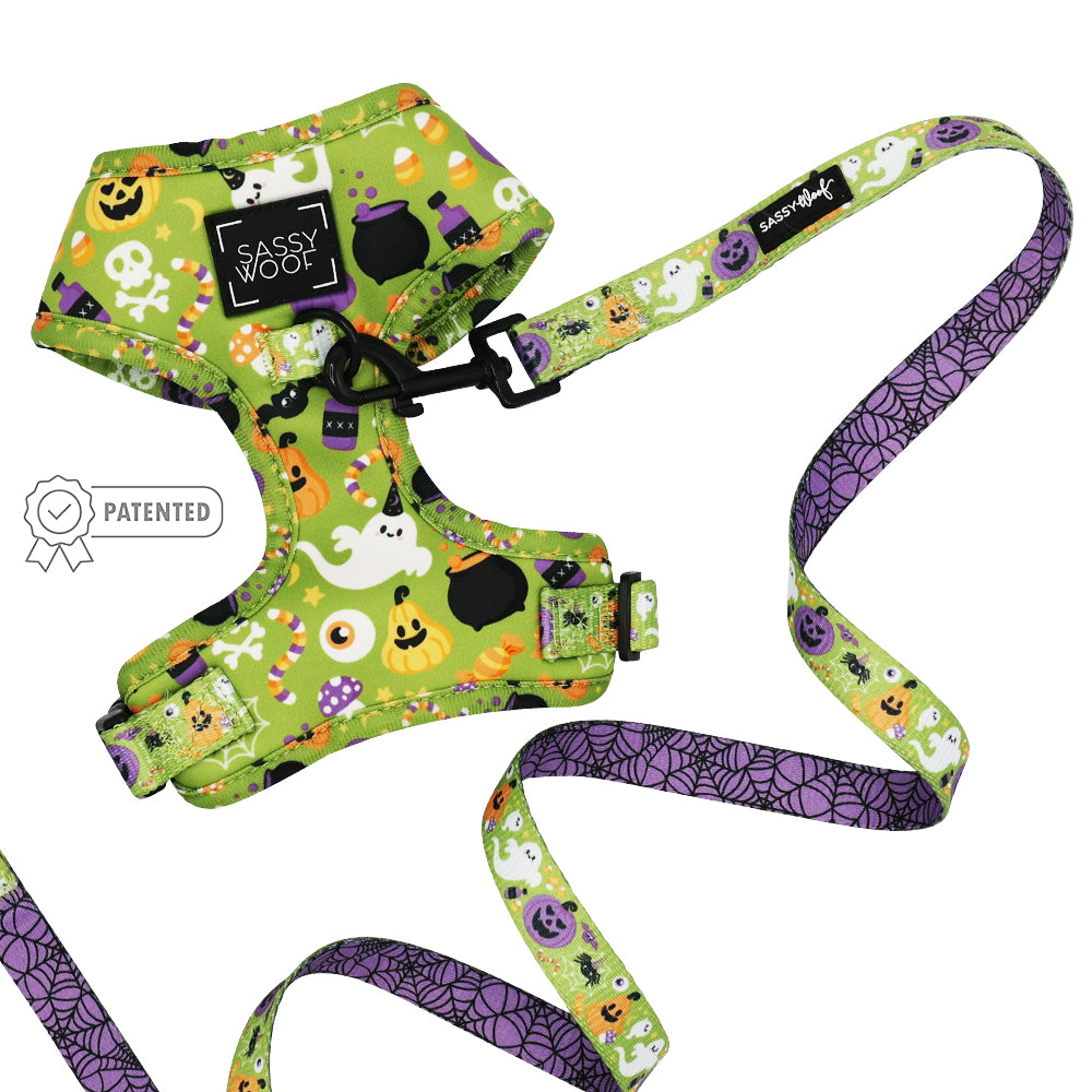 Dog Two Piece Bundle - Haunt Mess