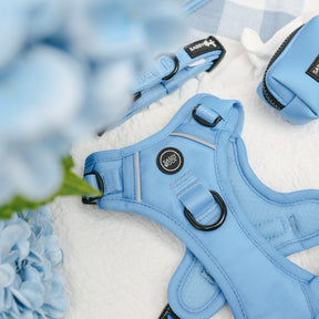 A close-up of the Sassy Woof Dog Two Piece Bundle - Hydrangea, featuring pastel colors with black buckles and rings, on a white blanket with blue checkered fabric and light blue flowers—perfect to pair with a floral pet leash.