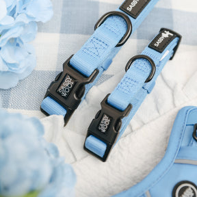 Two Sassy Woof Hydrangea dog collars in light blue with black buckles and metal rings are shown on blue and white checkered fabric, surrounded by hydrangea flowers.