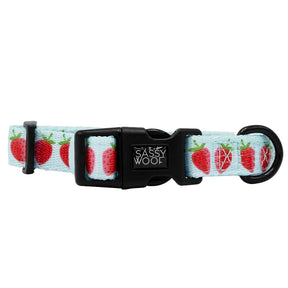 Dog Four Piece Bundle - I Woof You Berry Much