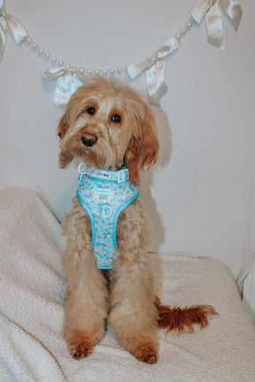 INFLUENCER_CONTENT | @FOUR.SWEETDOODLES | SIZE M & M