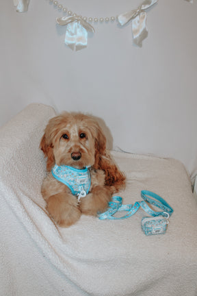 A fluffy light brown dog in a blue harness sits on a cream blanket. Next to it are matching Sanrio accessories and a Sassy Woof Dog Leash - Cinnamoroll™ with padded neoprene handle. White bows and pearls decorate the wall.