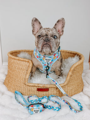 A French bulldog with a Sassy Woof Dog Waste Bag Holder – Hello Kitty® & Friends In the Sky sits in a white fur-lined wicker bed, creating an adorable Sanrio-themed scene on a fluffy white surface.