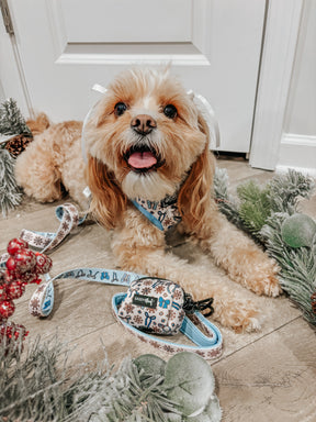 INFLUENCER_CONTENT | @LOVELUNA.CAVAPOO | SIZE XS