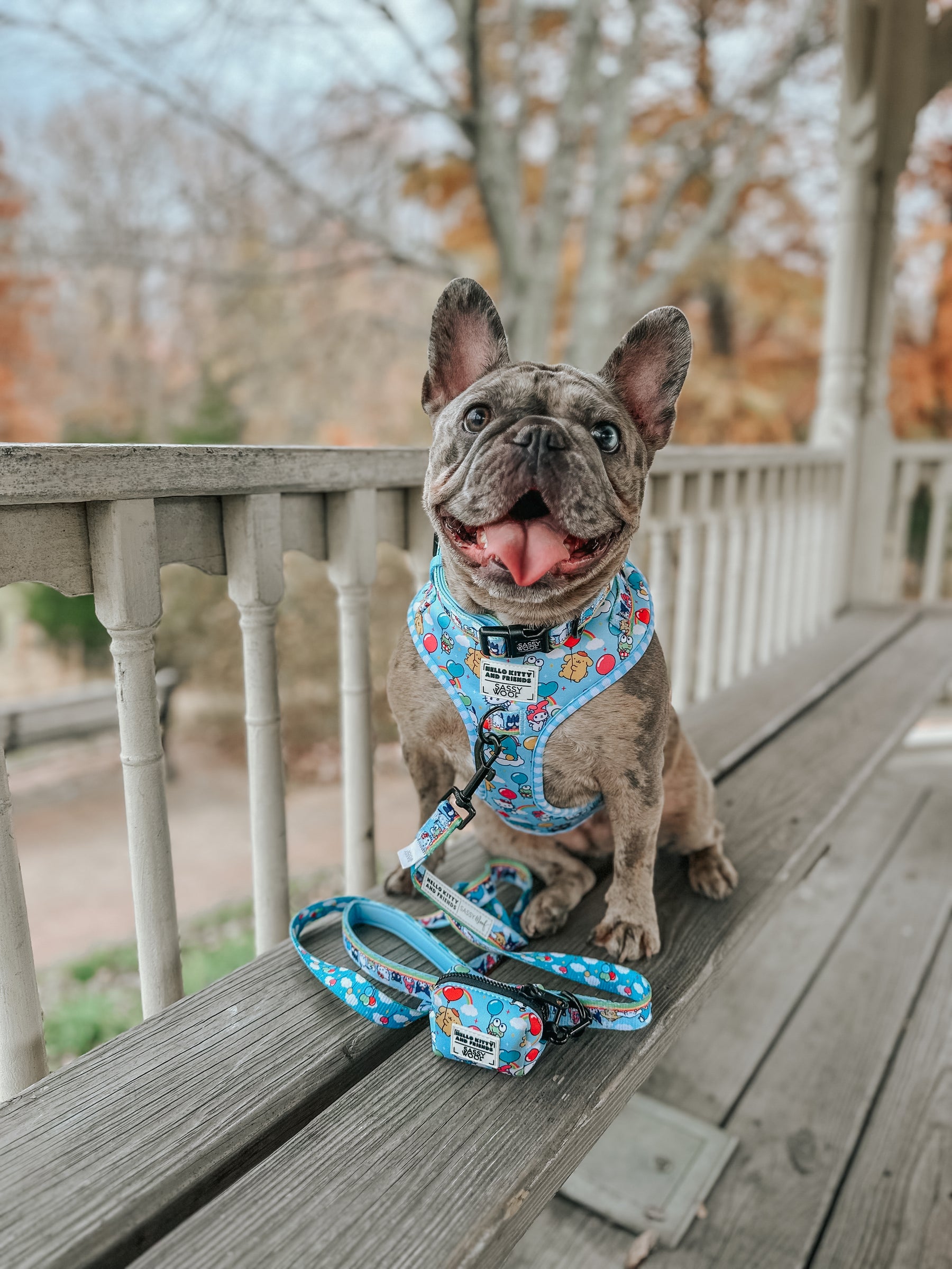 INFLUENCER_CONTENT | @MY.FRENCHIE.FRY 