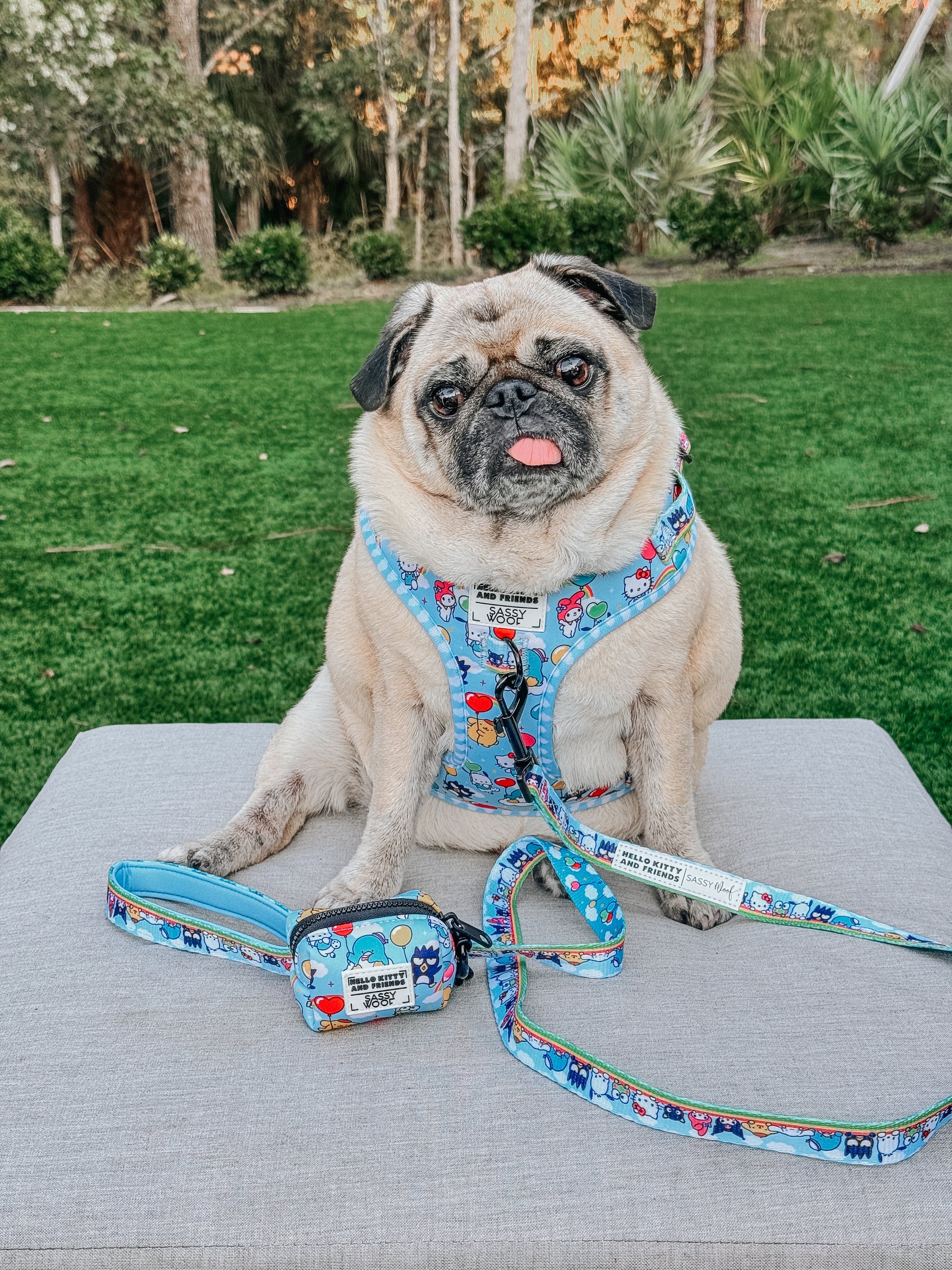 A pug in a blue harness sits on a gray cushion outdoors. In front lies the Sassy Woof Dog Waste Bag Holder - Hello Kitty® & Friends In the Sky, plus matching leash, with green grass and trees in the background.
