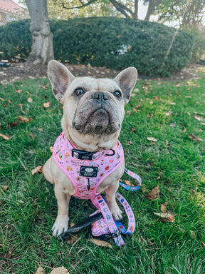 INFLUENCER_CONTENT | @LILLYMOONFRENCHIE | SIZE S