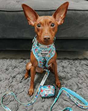A small brown dog with large ears sits on a gray rug, wearing a blue Sassy Woof Hello Kitty® & Friends In the Sky Dog Waste Bag Holder. The dog looks at the camera, and a gray couch is in the background.