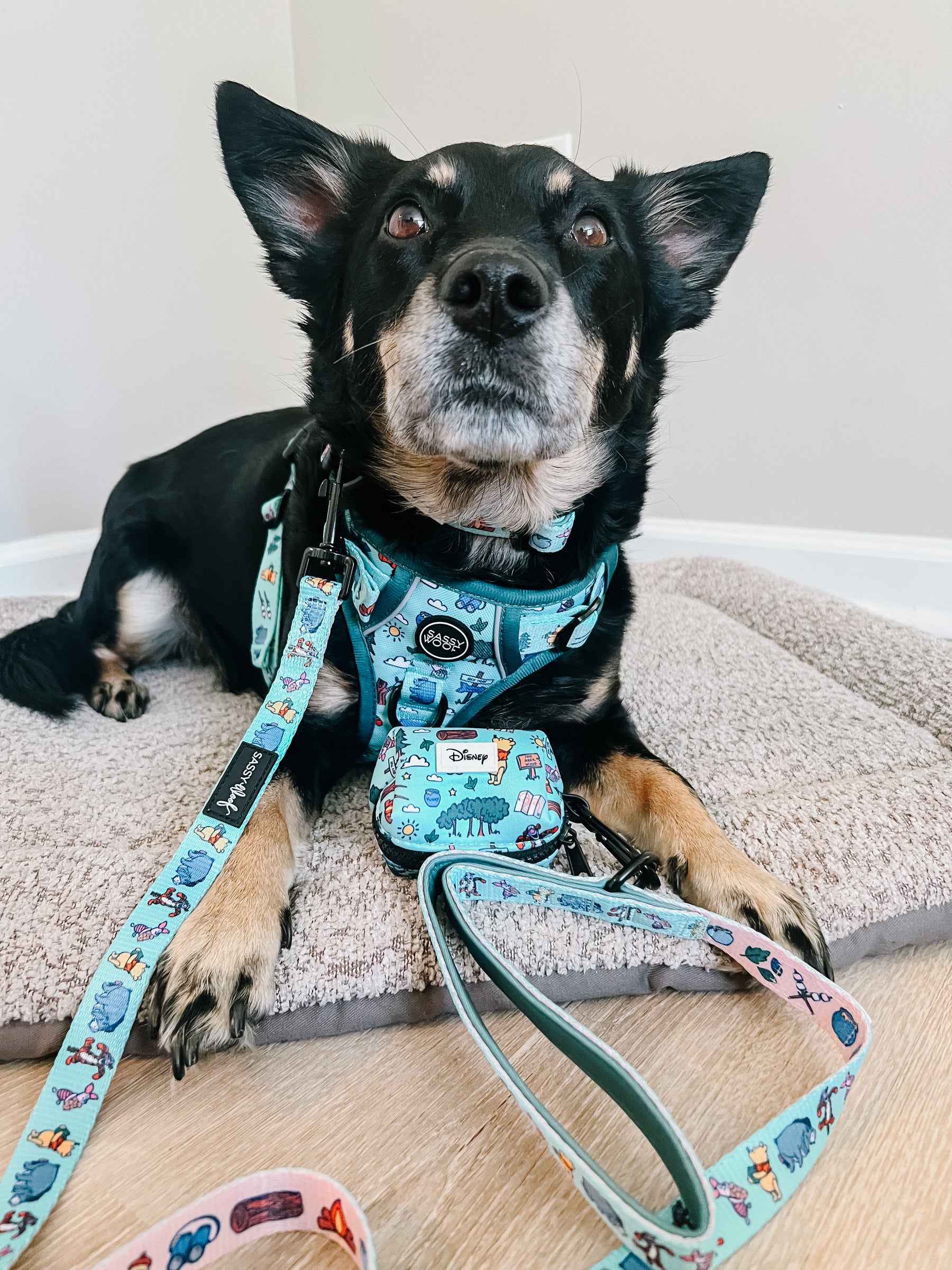 INFLUENCER_CONTENT | @CHAITOTHERESCUE | SIZE M 