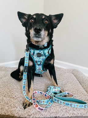 INFLUENCER_CONTENT | @CHAITOTHERESCUE | SIZE M 