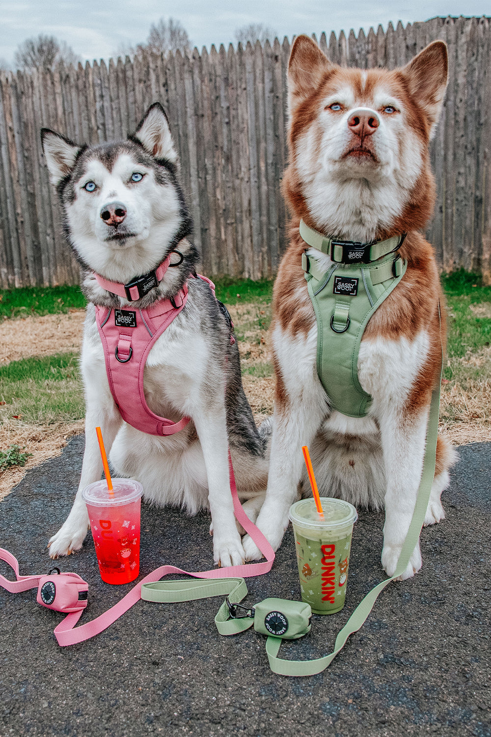 INFLUENCER_CONTENT | @LILLY_CLOVER_HUSKY | SIZE L