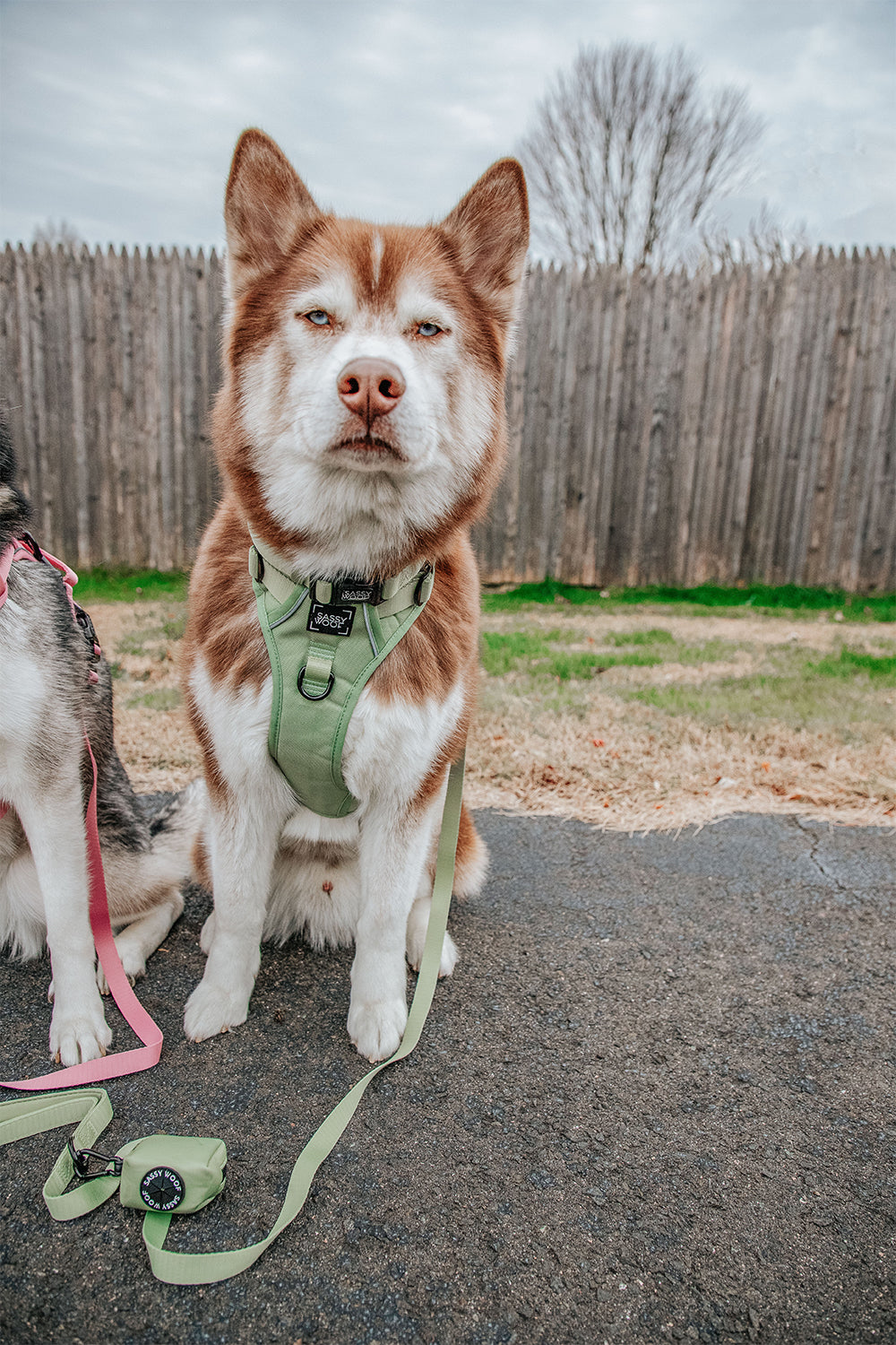 INFLUENCER_CONTENT | @LILLY_CLOVER_HUSKY | SIZE L & L