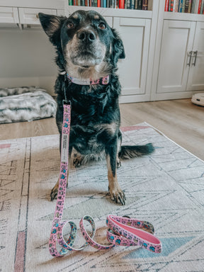 INFLUENCER_CONTENT | @CHAITOTHERESCUE