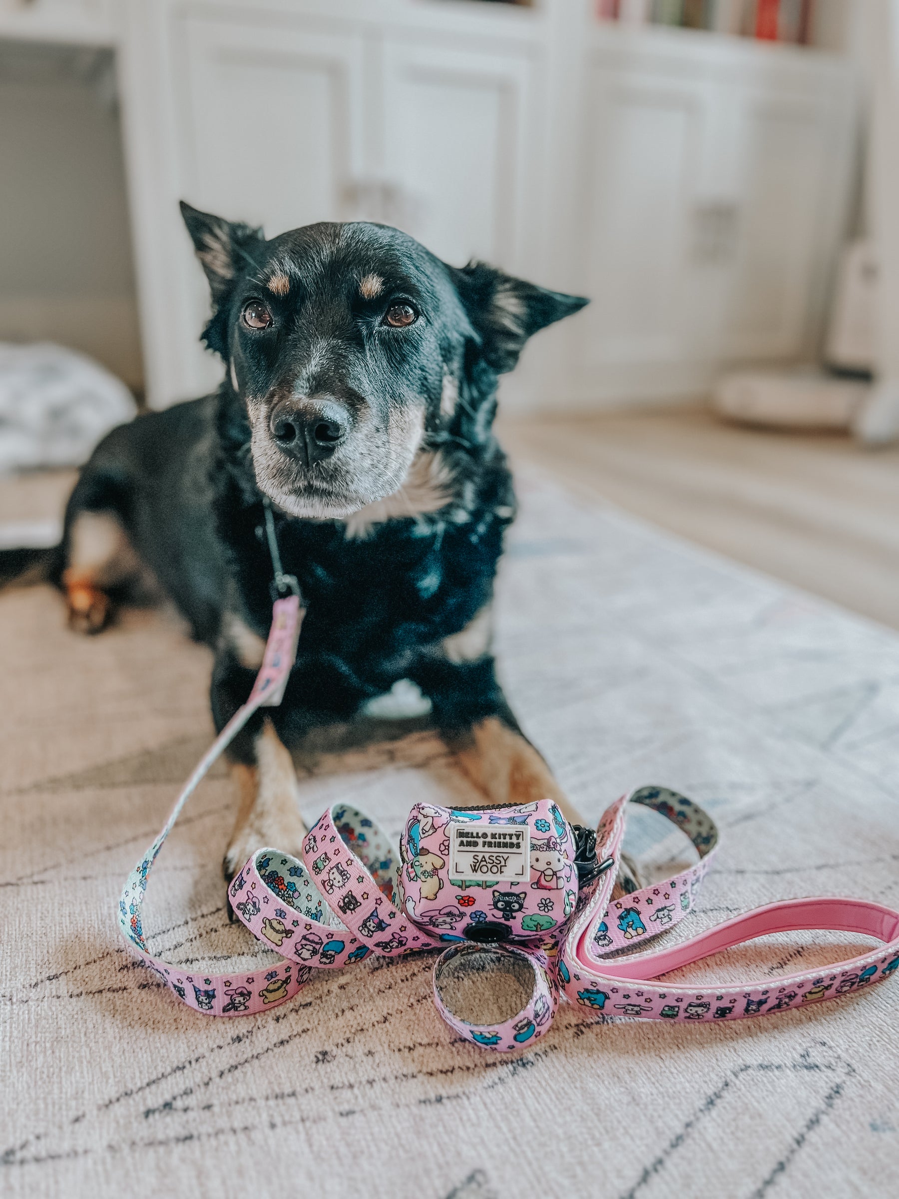 INFLUENCER_CONTENT | @CHAITOTHERESCUE | SIZE M