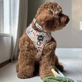 INFLUENCER_CONTENT | @INDY.THECOCKAPOO | SIZE S & S