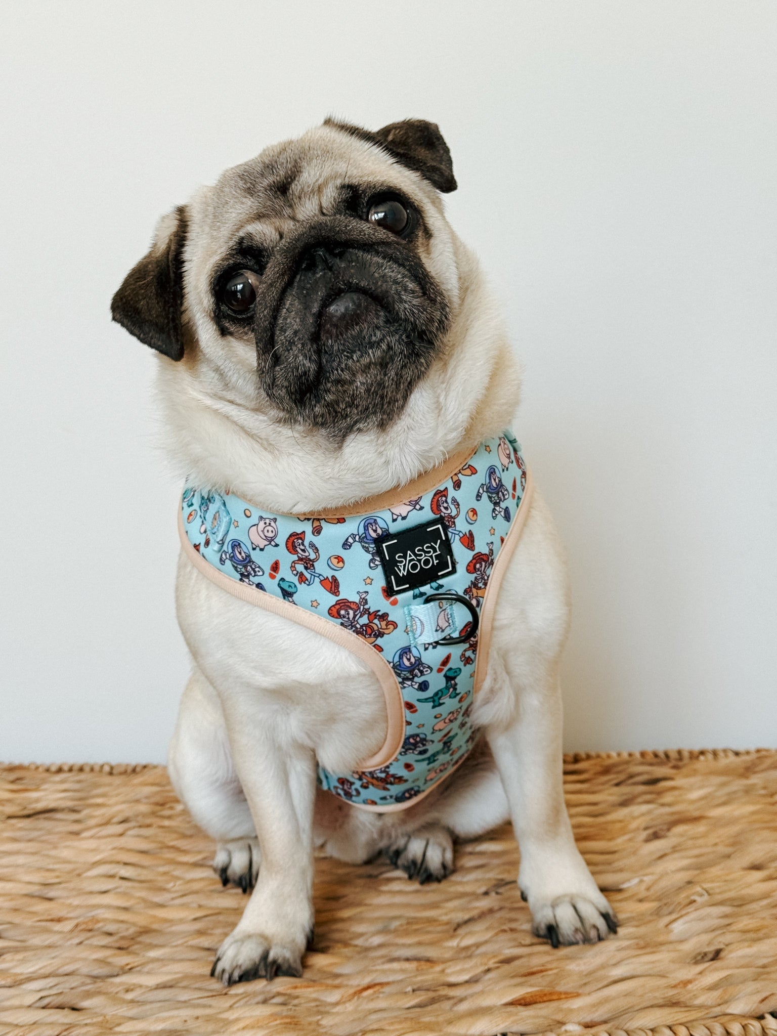 INFLUENCER_CONTENT | @ATOASTYPUG | SIZE M