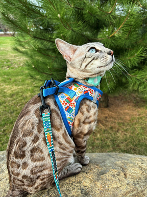 INFLUENCER_CONTENT | @BENGAL.KITTY.KORRA | SIZE S