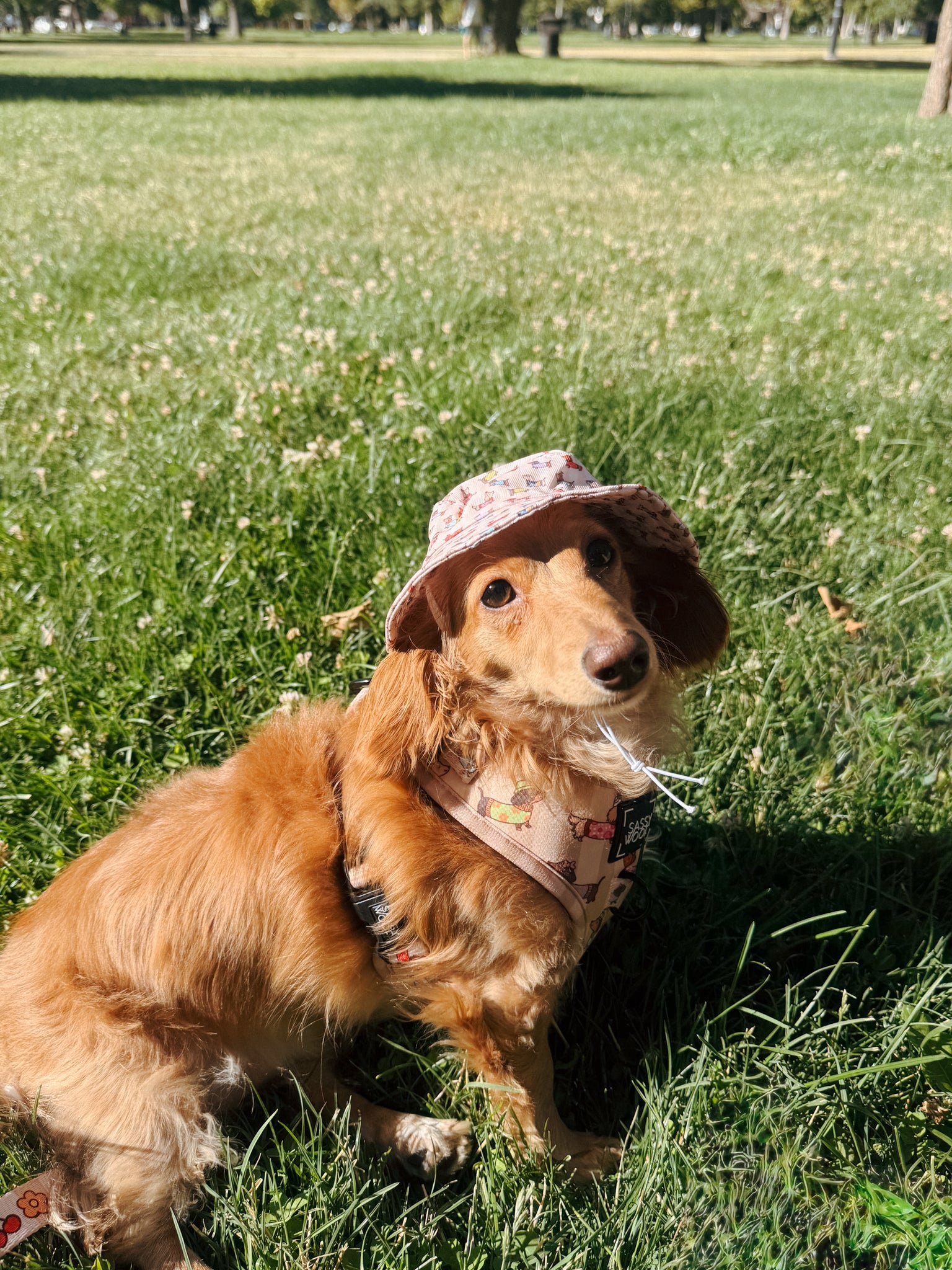 INFLUENCER_CONTENT | @BROOKIETHEBRATXIE | BUCKET HAT SIZE: S