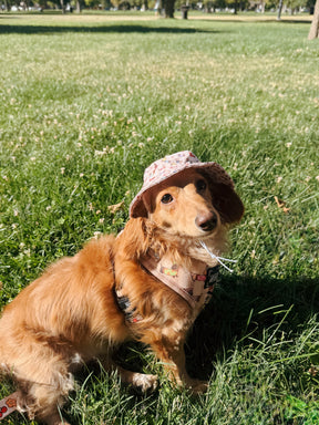INFLUENCER_CONTENT | @BROOKIETHEBRATXIE | BUCKET HAT SIZE: S