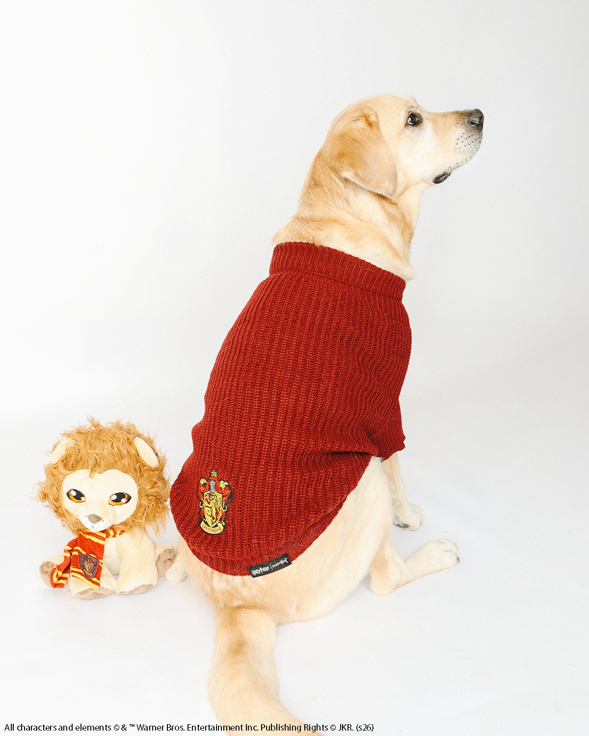 A yellow dog wearing the Sassy Woof Pet Cable Knit Sweater - Harry Potter™ Gryffindor sits next to a lion plush toy on a white background.