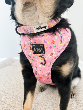 INFLUENCER_CONTENT | @CHAITOTHERESCUE | COLLAR SIZE: M & HARNESS SIZE: L