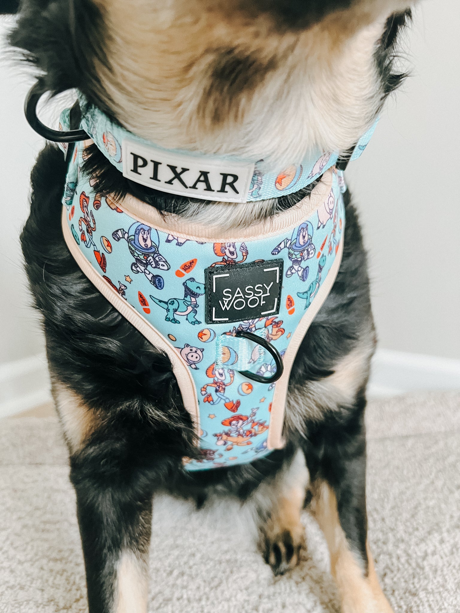 INFLUENCER_CONTENT | @CHAITOTHERESCUE | SIZE M