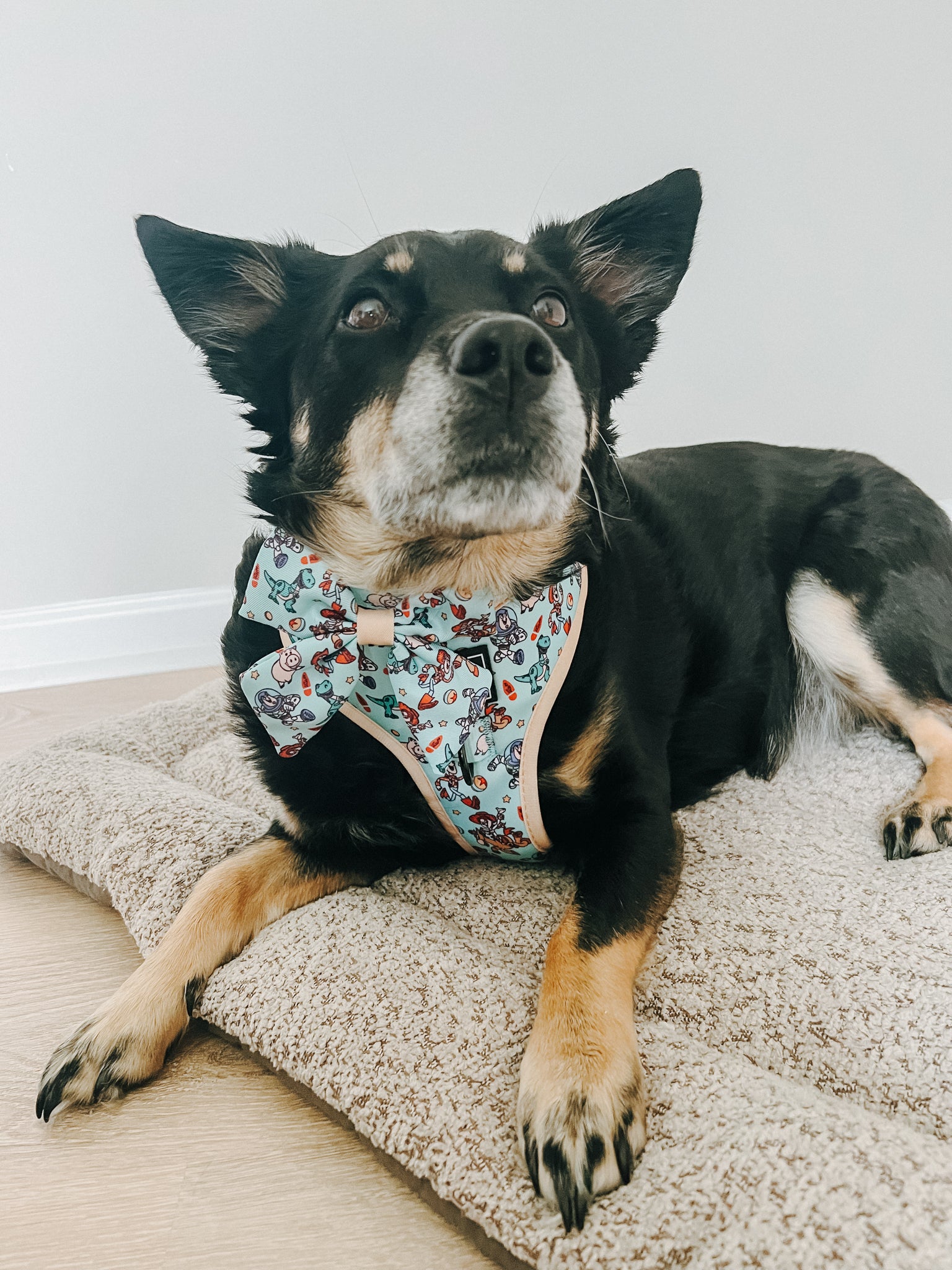 INFLUENCER_CONTENT | @CHAITOTHERESCUE | SIZE M