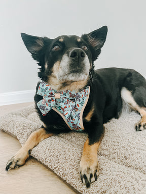 INFLUENCER_CONTENT | @CHAITOTHERESCUE | SIZE M