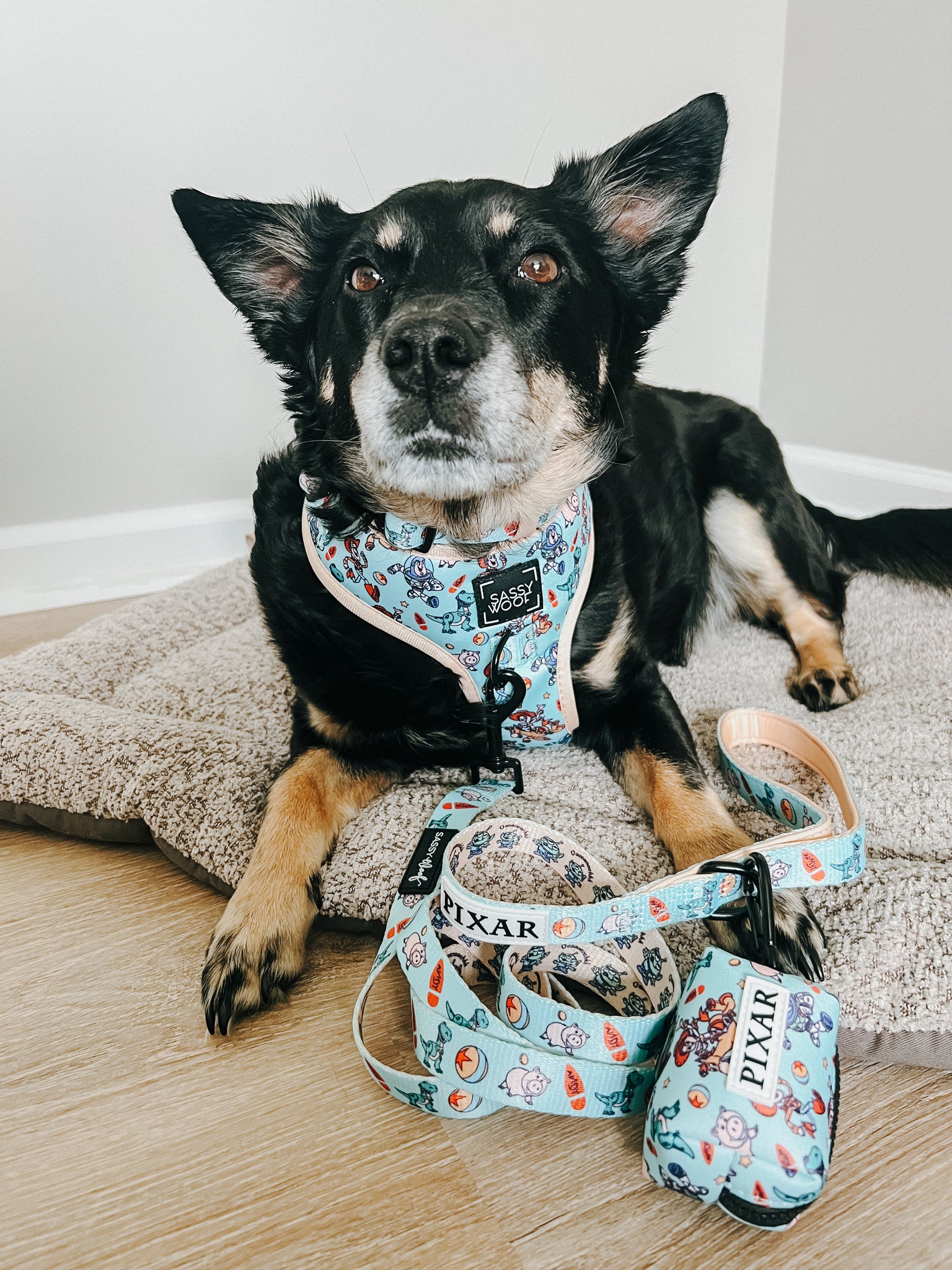 INFLUENCER_CONTENT | @CHAITOTHERESCUE | SIZE M