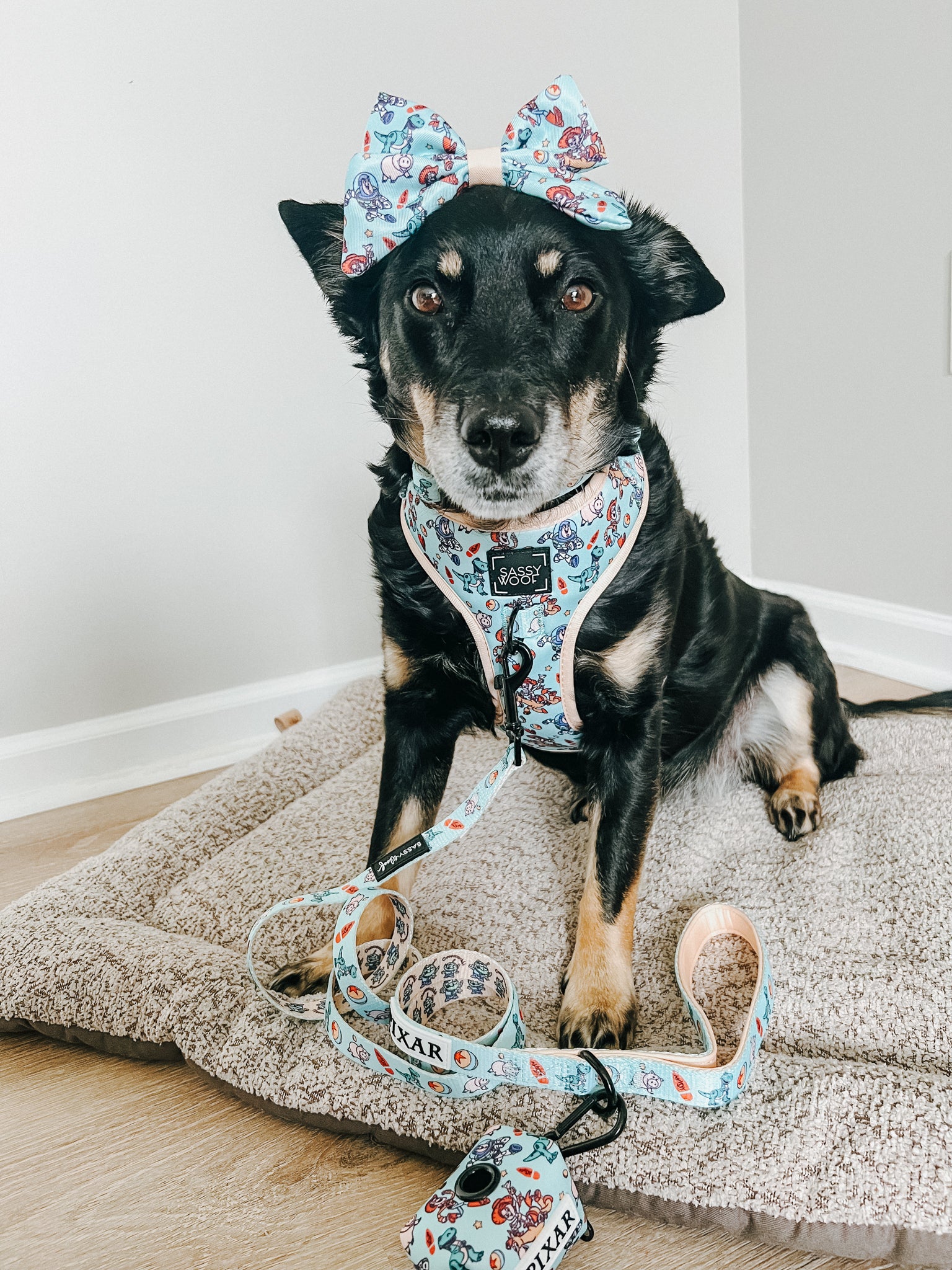 INFLUENCER_CONTENT | @CHAITOTHERESCUE | SIZE M