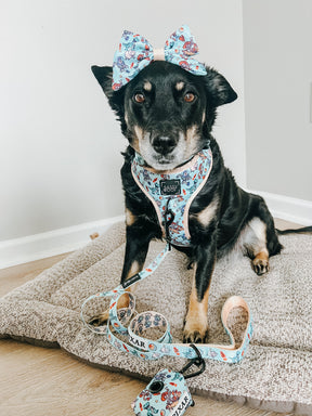 INFLUENCER_CONTENT | @CHAITOTHERESCUE | SIZE M