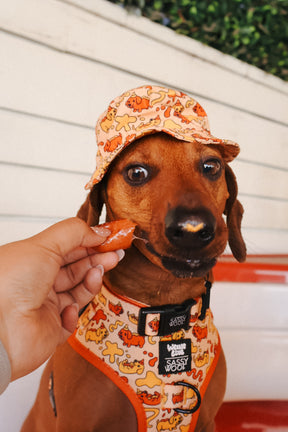 INFLUENCER_CONTENT | @CHORIZOCONBOLILLO | SIZE M