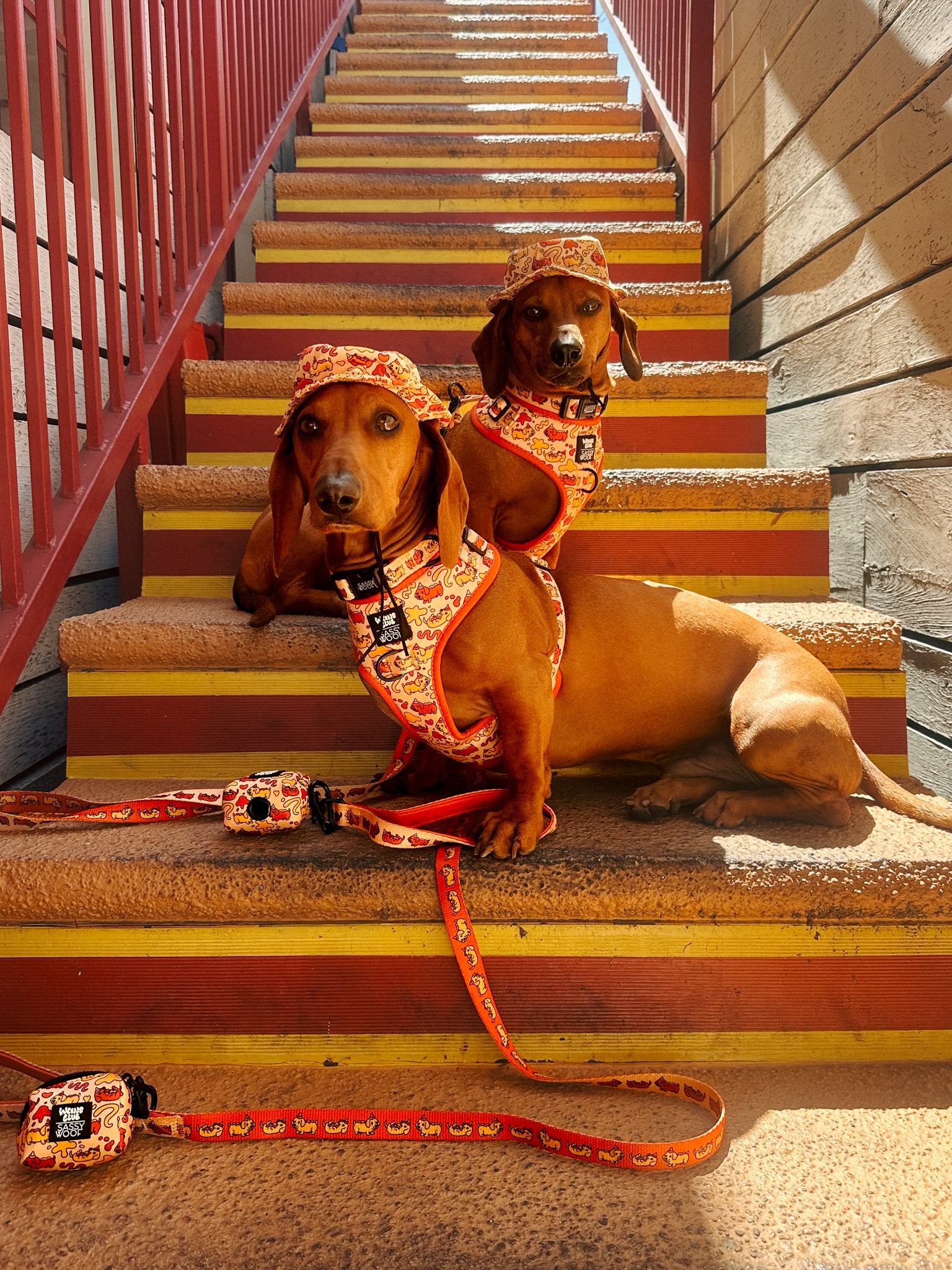 INFLUENCER_CONTENT | @CHORIZOCONBOLILLO | SIZE M