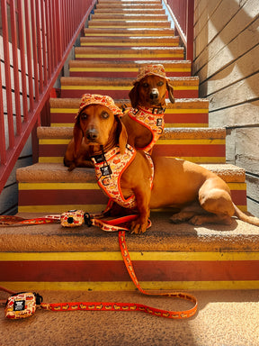 INFLUENCER_CONTENT | @CHORIZOCONBOLILLO | SIZE M