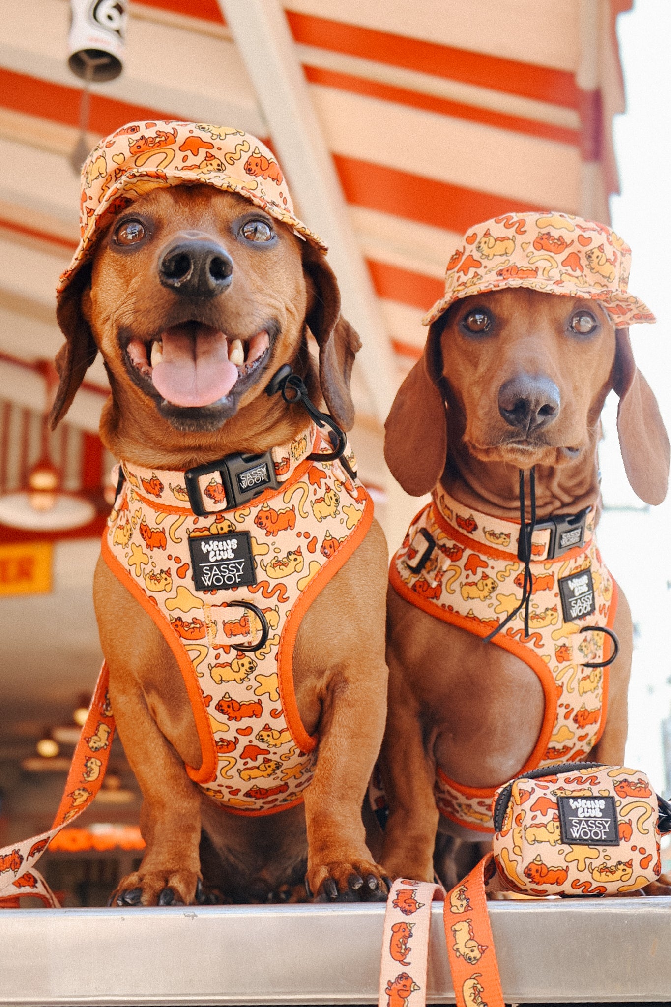 INFLUENCER_CONTENT | @CHORIZOCONBOLILLO | SIZE M