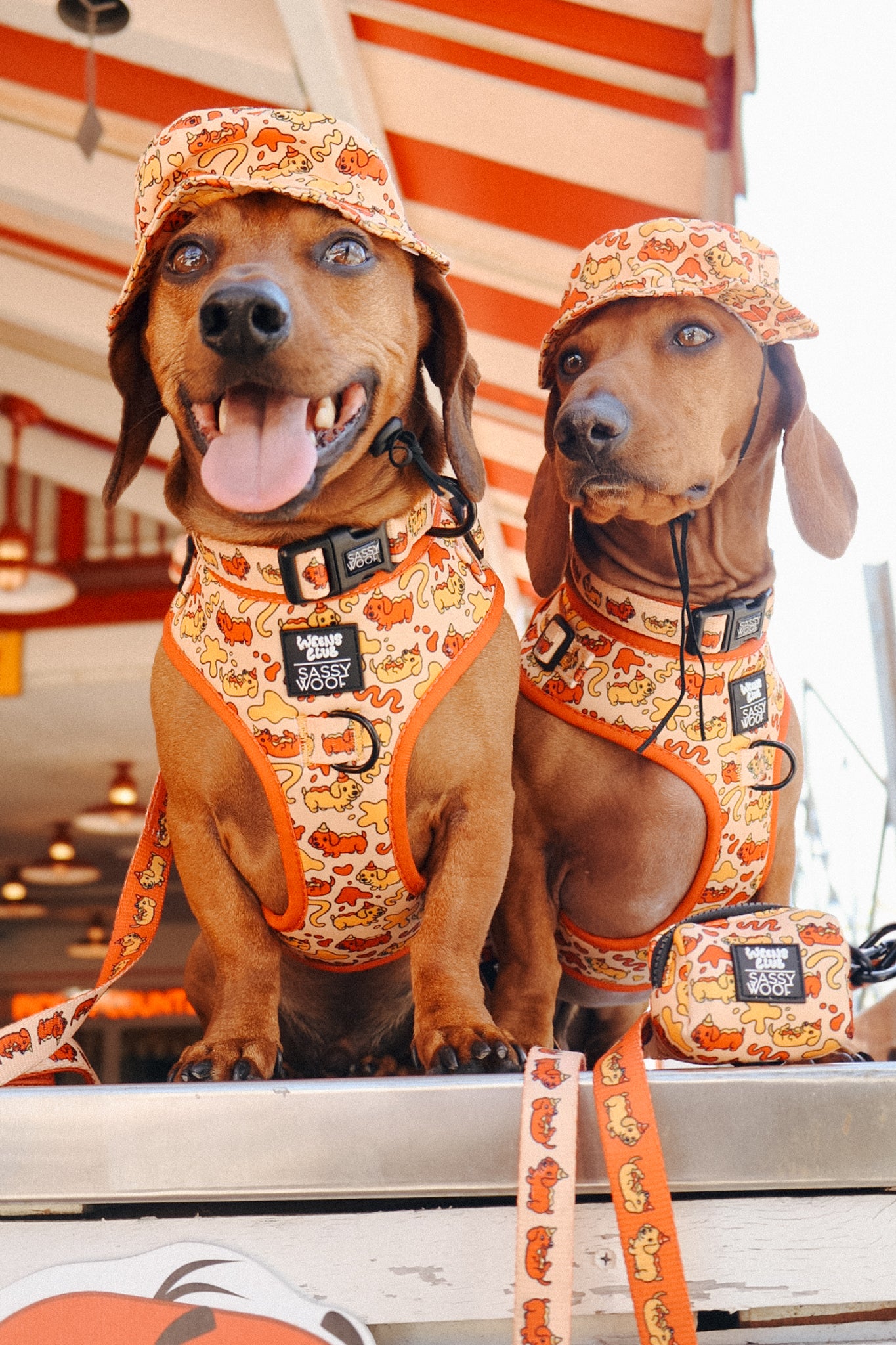 INFLUENCER_CONTENT | @CHORIZOCONBOLILLO | SIZE M