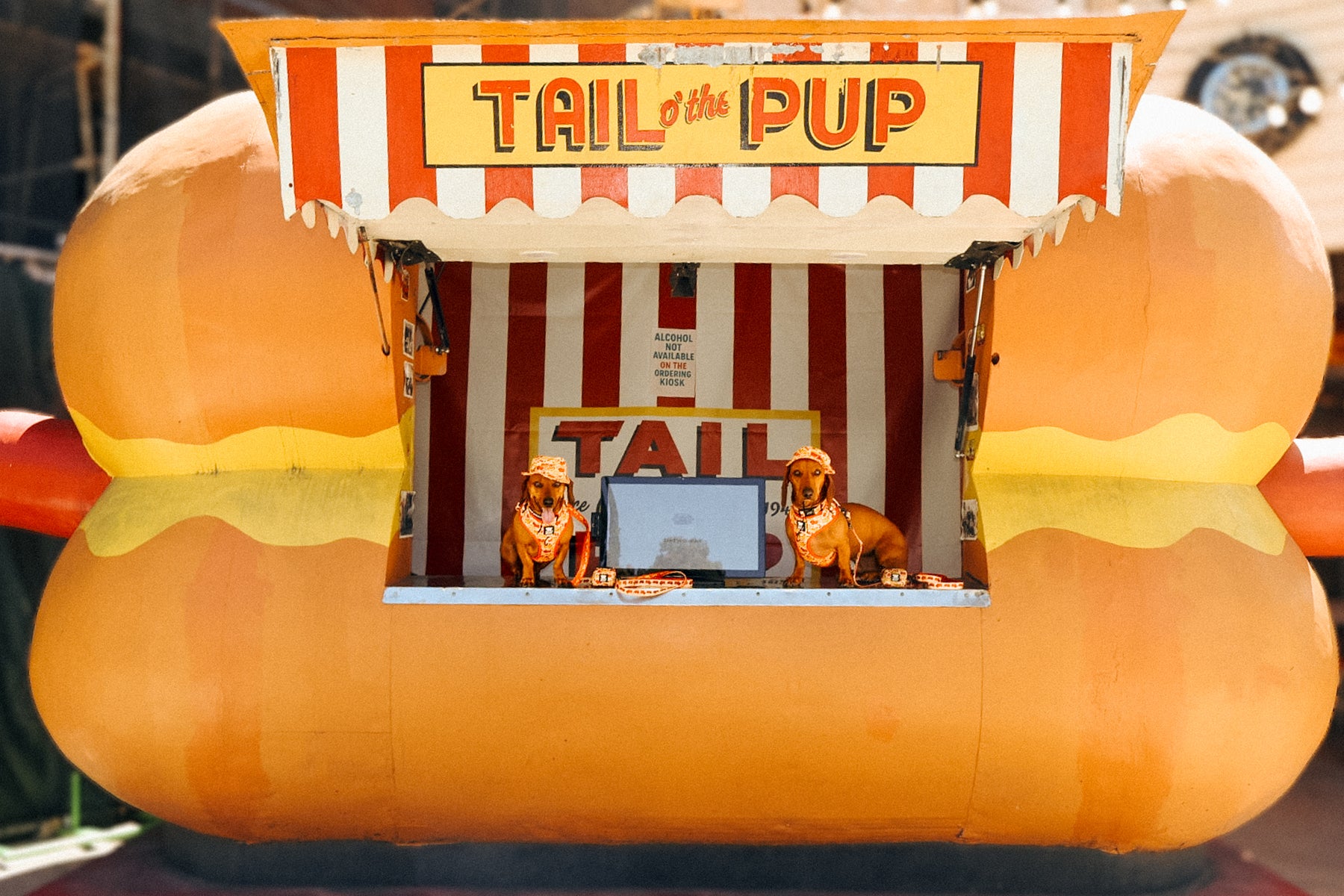 INFLUENCER_CONTENT | @CHORIZOCONBOLILLO | SIZE M