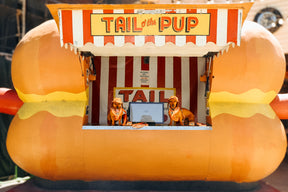 INFLUENCER_CONTENT | @CHORIZOCONBOLILLO | SIZE M