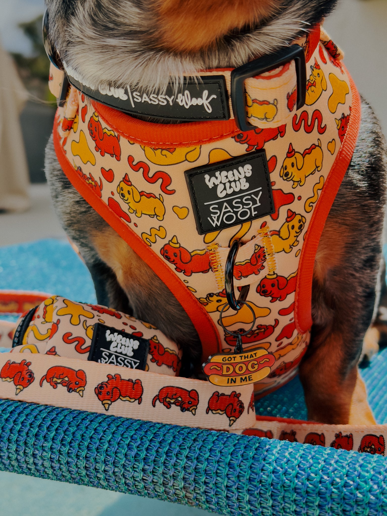 INFLUENCER_CONTENT | @DACH.VADER | SIZE XS