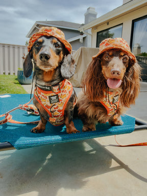 INFLUENCER_CONTENT | @DACH.VADER | SIZE XS