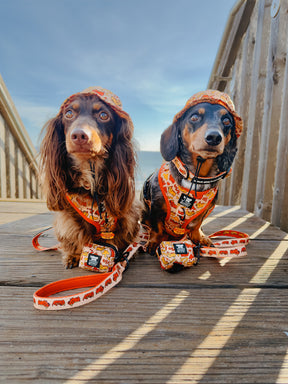 INFLUENCER_CONTENT | @DACH.VADER | SIZE XS