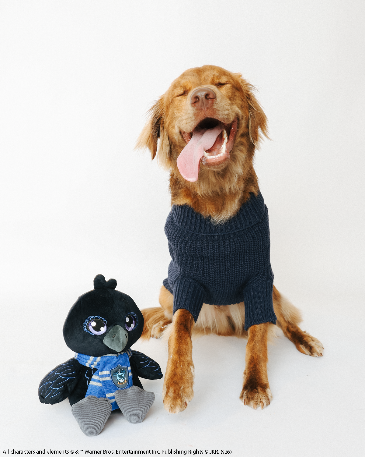 A happy brown dog in a cozy Sassy Woof Pet Cable Knit Sweater - Harry Potter™ Ravenclaw sits with its tongue out next to a black plush bird wearing a blue and gray scarf and sweater, against a white background.