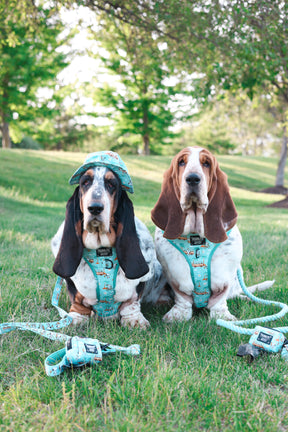 INFLUENCER_CONTENT | @DOLLY_JEAN_THE_BASSET| SIZE L