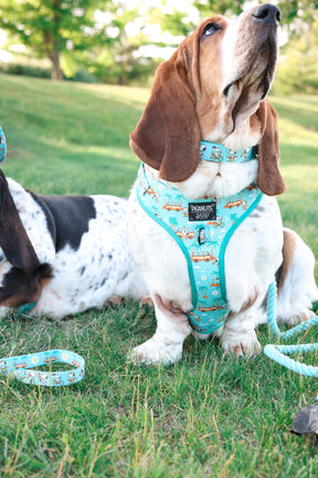 INFLUENCER_CONTENT | @DOLLY_JEAN_THE_BASSET| SIZE L