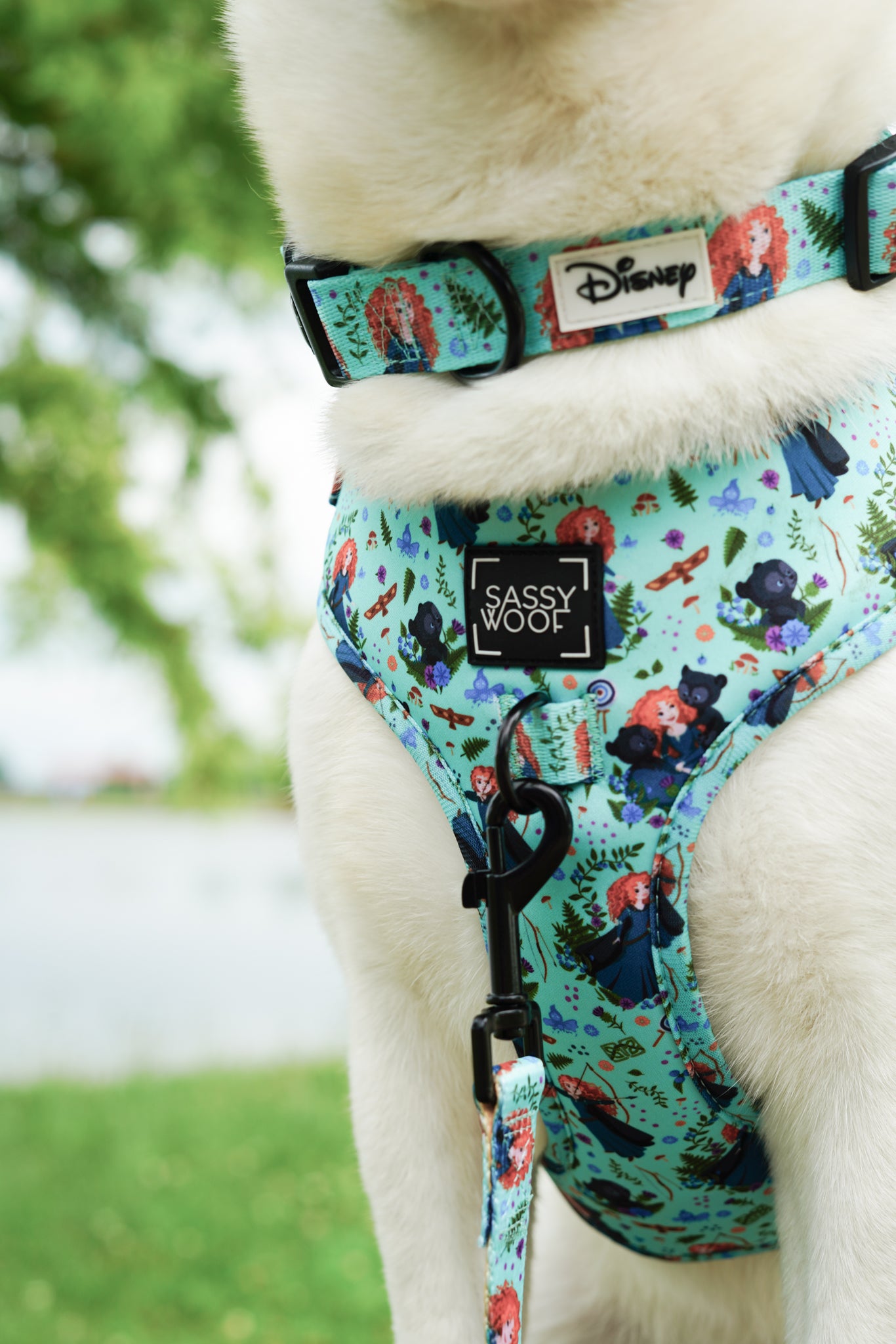 INFLUENCER_CONTENT | @EUREKAPAWS2 | COLLAR SIZE: L & HARNESS SIZE: L