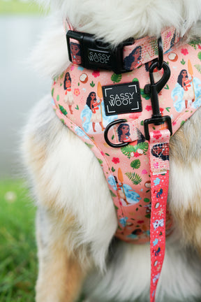 INFLUENCER_CONTENT | @EUREKAPAWS | COLLAR SIZE: L & HARNESS SIZE: L