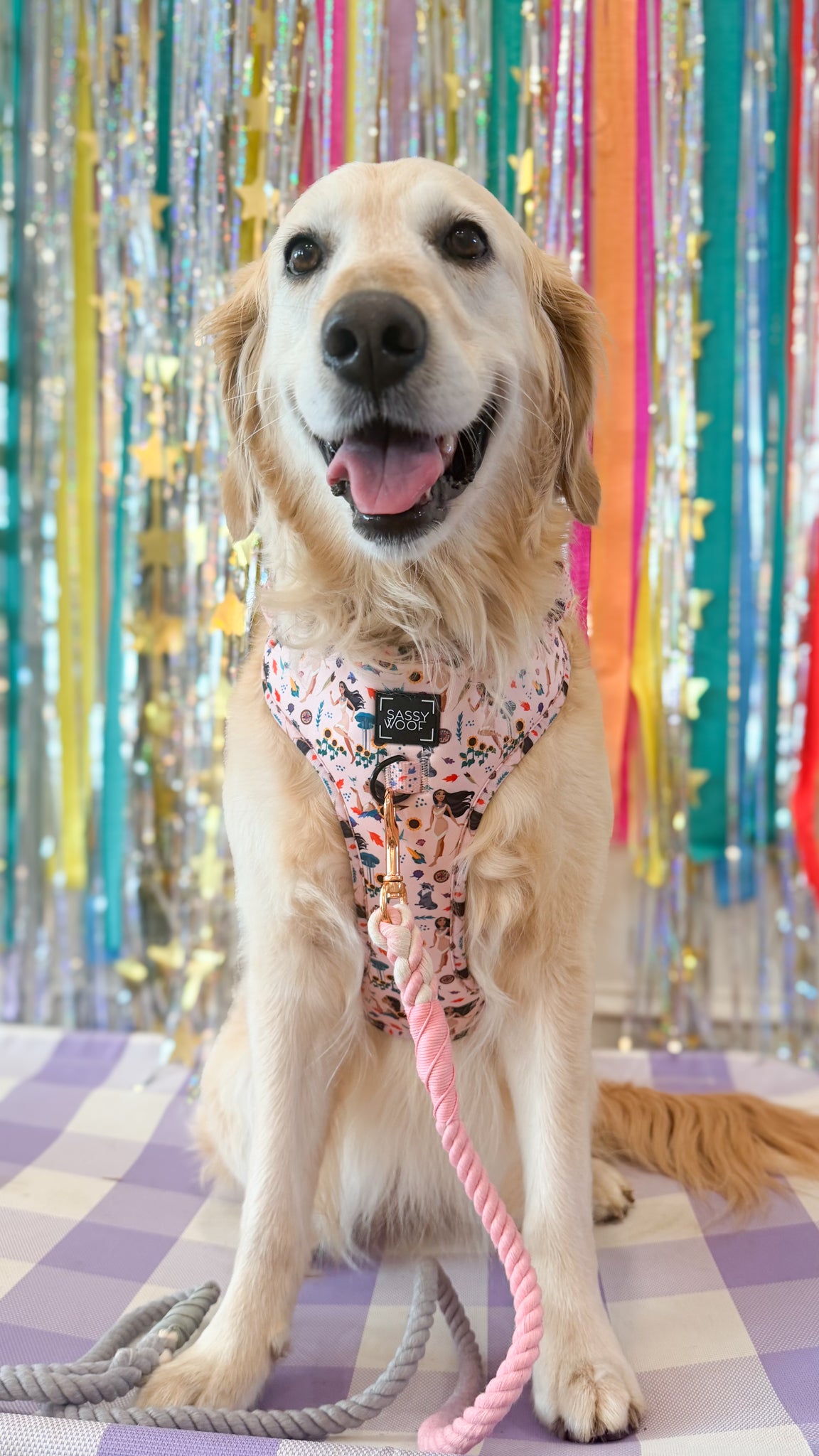 INFLUENCER_CONTENT | @GVL_GOLDEN_GIRLS | HARNESS SIZE: XL
