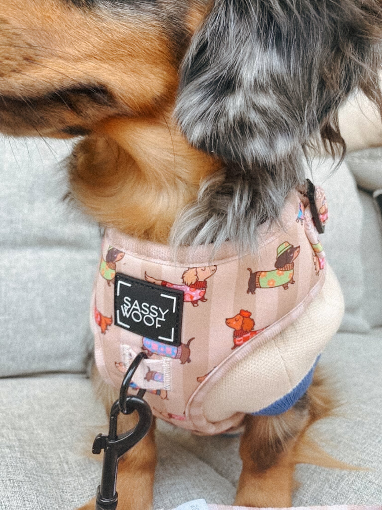 INFLUENCER_CONTENT | @HARRYANDBARBIEZ_WORLD | HARNESS SIZE: S