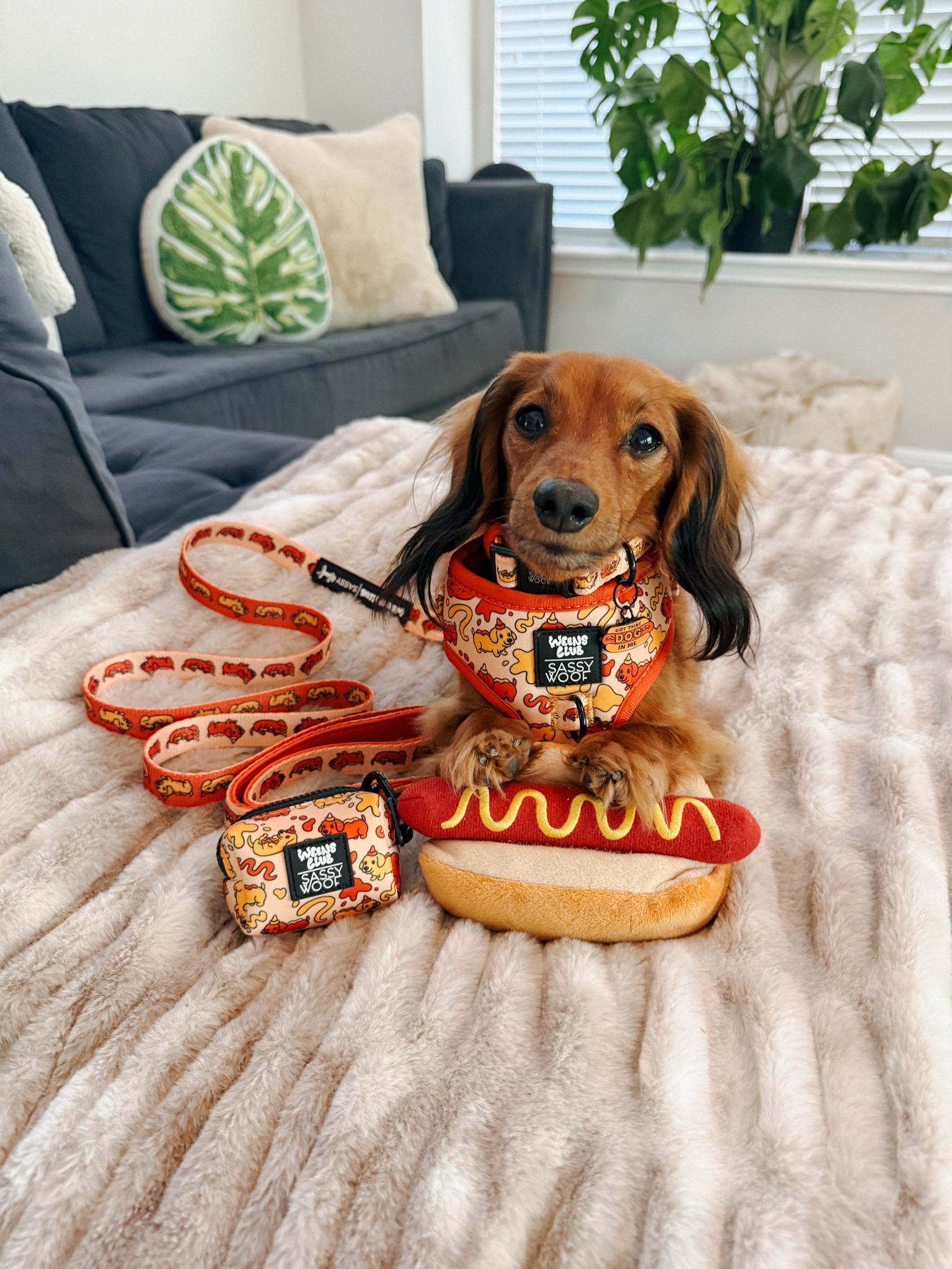 INFLUENCER_CONTENT | @HARRY_OSBORN_THE_HAIRBEAR | SIZE XS