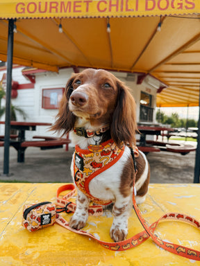 INFLUENCER_CONTENT | HAUSOFODOXIES | SIZE XS